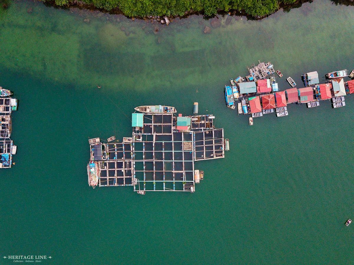 Heritage Line Violet Cruise - Halong Bay & Lan Ha Bay Hạ Long Exterior foto