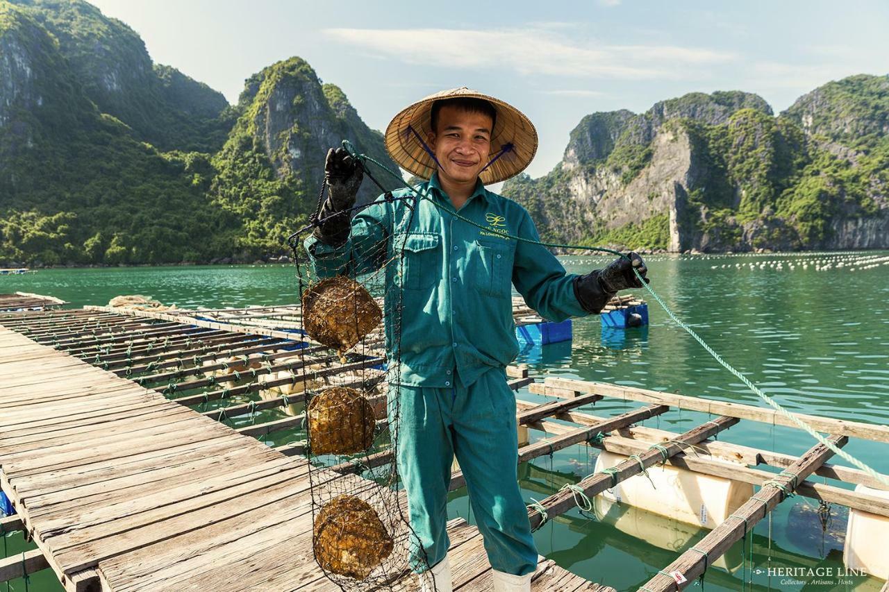 Heritage Line Violet Cruise - Halong Bay & Lan Ha Bay Hạ Long Exterior foto